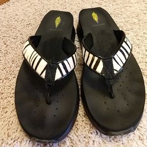 Volatile Zebra leather upper